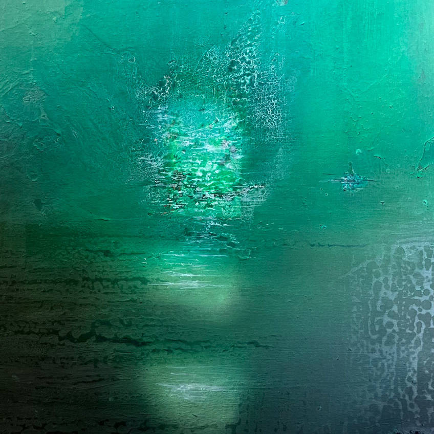 Reflets furtifs - Alain Rebord - 2024